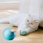 Rotating Cat Toy Ball, Interactive Cat Toys Rechargeable Rotating Ball with LED